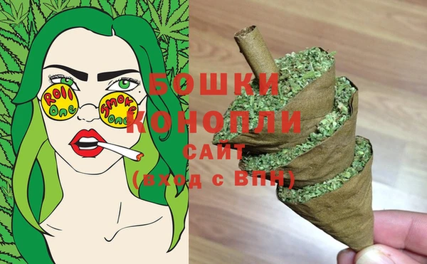 крисы Лабытнанги