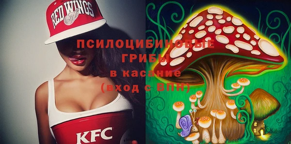 крисы Лабытнанги