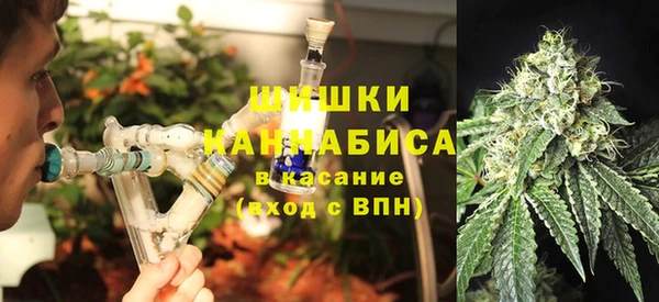 дживик Лагань