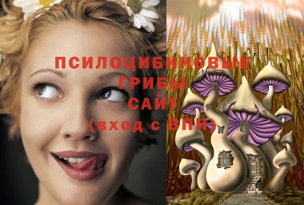 крисы Лабытнанги