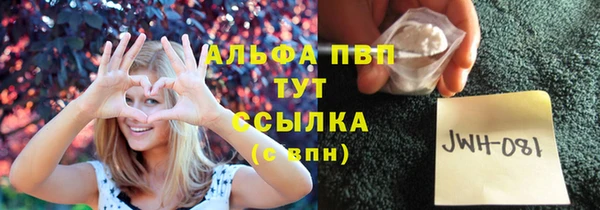 крисы Лабытнанги