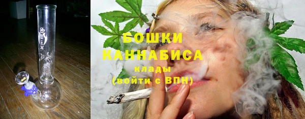 дживик Лагань